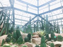 -华南国家植物园-售票处