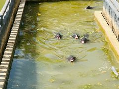 -湖南湘都生态农业园