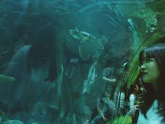 -福州罗源湾海洋世界旅游区