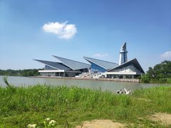 -盐城丹顶鹤湿地生态旅游区