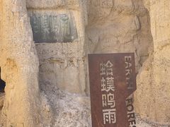-元谋土林景区(物茂土林)