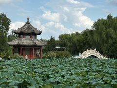 -莲池书院博物馆