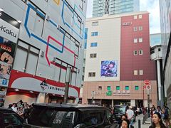 -秋叶原电器街