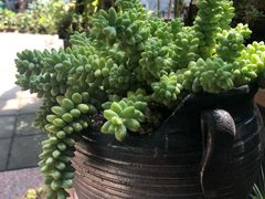 -三峡古玩城(泰古广场店)