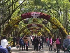 -上海月湖雕塑公园