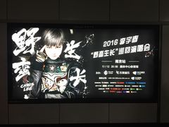 -南京奥林匹克体育中心-体育馆