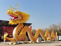 -中央广播电视塔