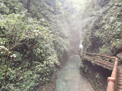 -青城山