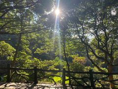 -梧桐山风景名胜区