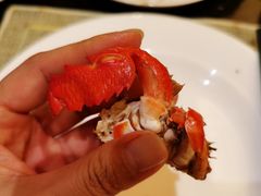 -百香自助餐厅·西安唐隆国际酒店(曲江店)