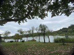 -宜兴龙背山森林公园