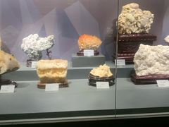 -湖南省地质博物馆