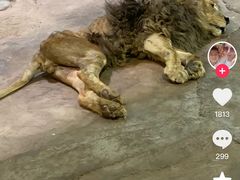-昆明动物园