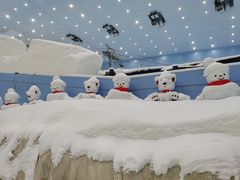 -广州热雪奇迹