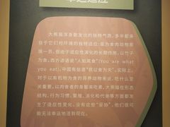 -深圳博物馆历史民俗馆