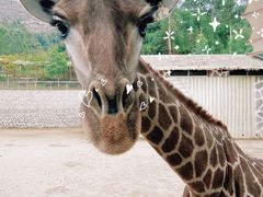 -泉州海丝野生动物世界