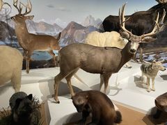 -陕西自然博物馆