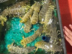 -惠食佳(滨江大公馆店)
