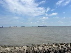 -上海滨江森林公园