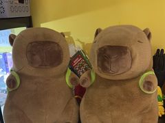 -谜盒子奇幻密室(南屏店)