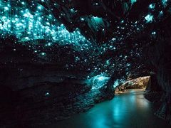 -怀托摩萤火虫洞