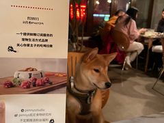 -the rug 飞毯 (朝阳公园店)