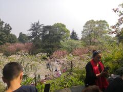 -南山植物园