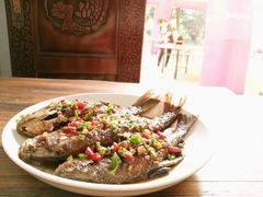 -武汉世外桃源农庄