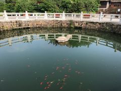 -白马涧龙池景区