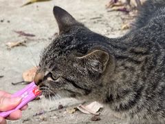 -南宁市凤岭儿童公园