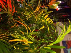 -胡桃里乐队酒馆(鎏嘉码头店)