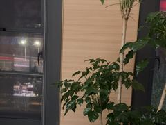 -红鼎豆捞·非遗鲍皇汤火锅(宝丰路店)