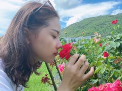 -亚龙湾国际玫瑰谷