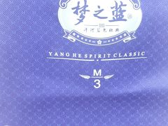 -黄浦江游览(十六铺码头)