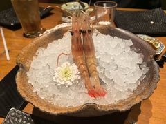 -月龍吟(朝龙汇店)
