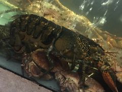 -蟹之国·精品蟹料理(极地店)