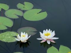 -白鹭湾湿地公园