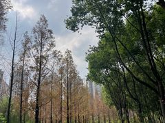 -成都南湖公园