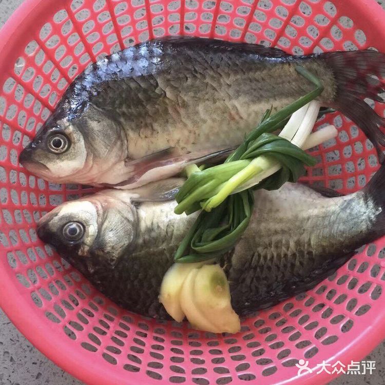 人人都是美食家之好鲜的野生鲫鱼汤
