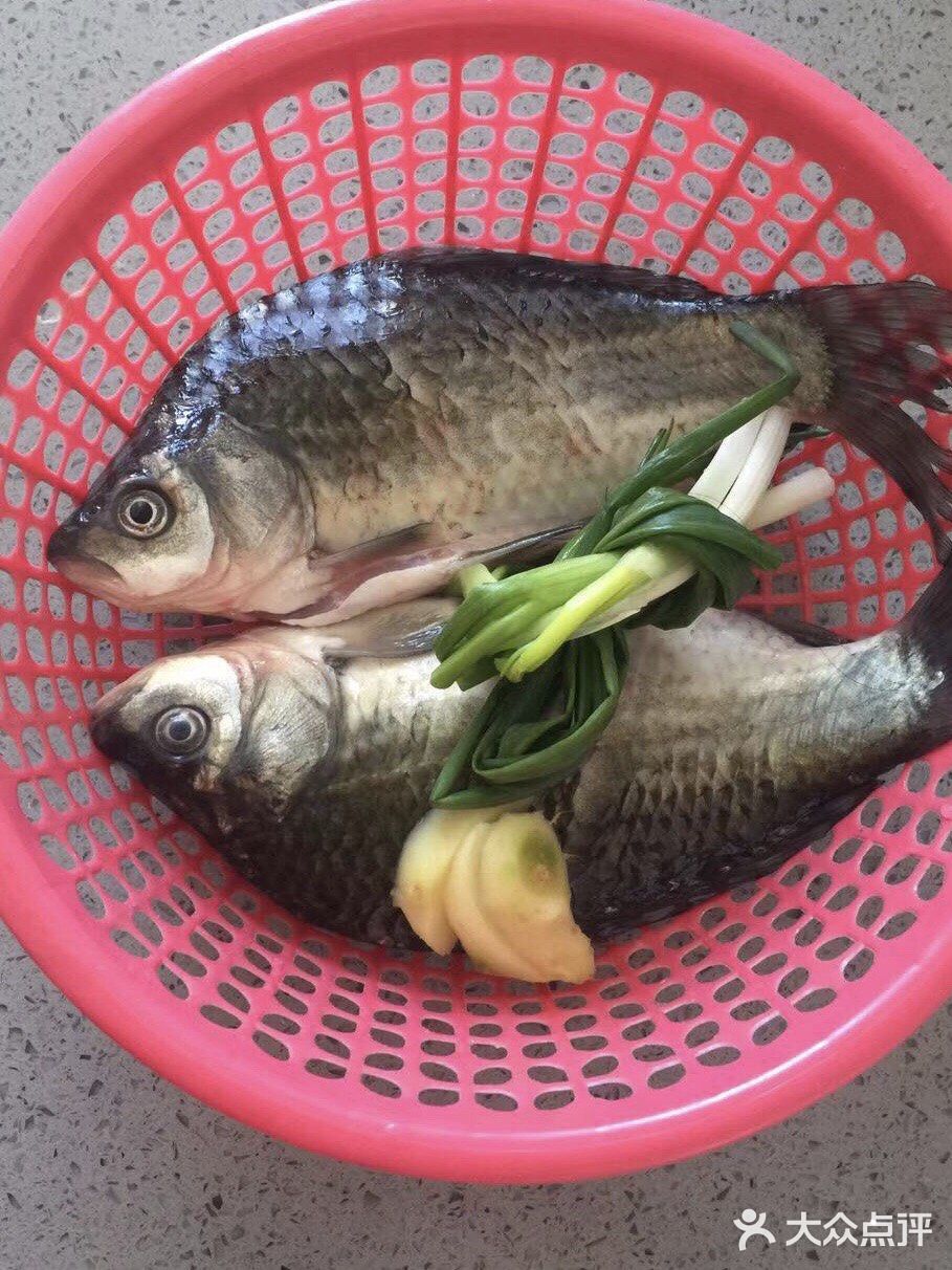人人都是美食家之好鲜的野生鲫鱼汤