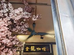 -金龙咖喱