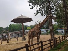 -大连森林动物园