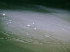 -九曲溪竹筏码头