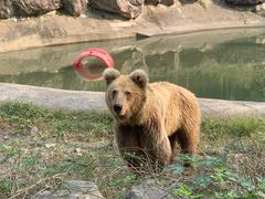 -宁波野生动物园
