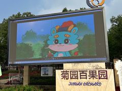 -菊园百果园