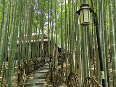 -宝岩生态观光园