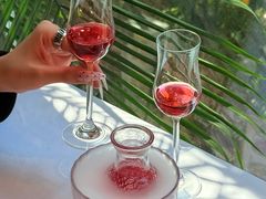 -若蘭慈·无国界素食料理(欢乐海岸店)