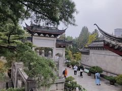 -鸡鸣赐茶(鸡鸣寺路店)