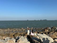 -野狸岛