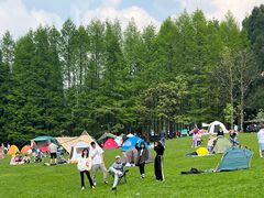 -武陵山森林公园